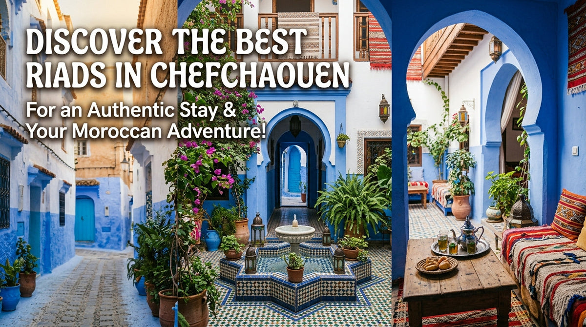 The Ultimate Guide to the Best Riads in Chefchaouen: Your Cozy Stay Awaits - Best riads in chefchaouen