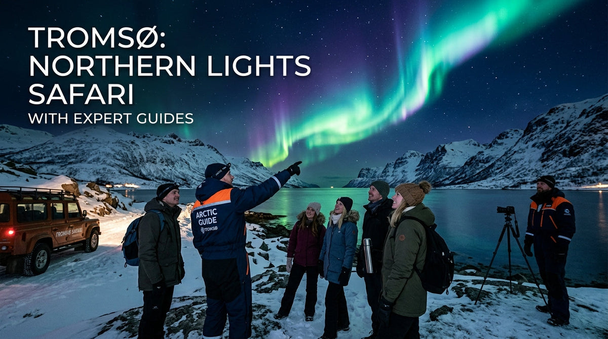 Tromsø Northern Lights: A Guide to Safari with Expert Guides - Tromsø Northern Lights,Safari with