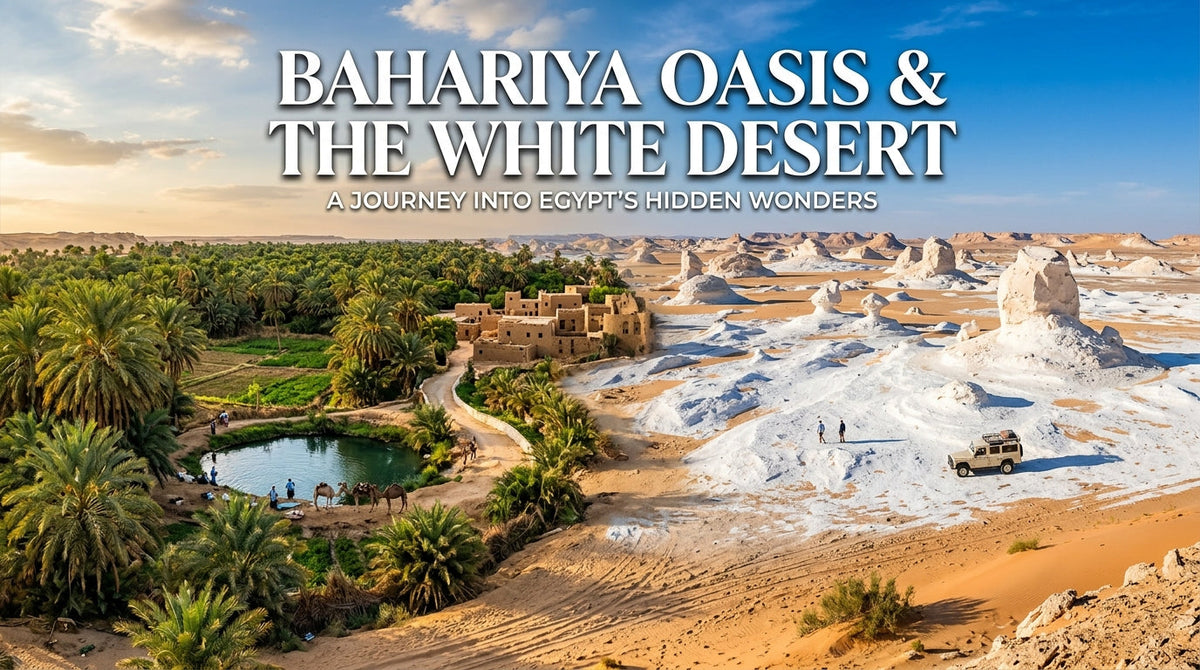 Bahariya Oasis and the White Desert: A Practical Travel Guide - Bahariya Oasis and the White Desert