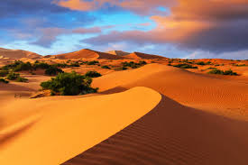 Merzouga Things to Do in the Erg Chebbi Dunes