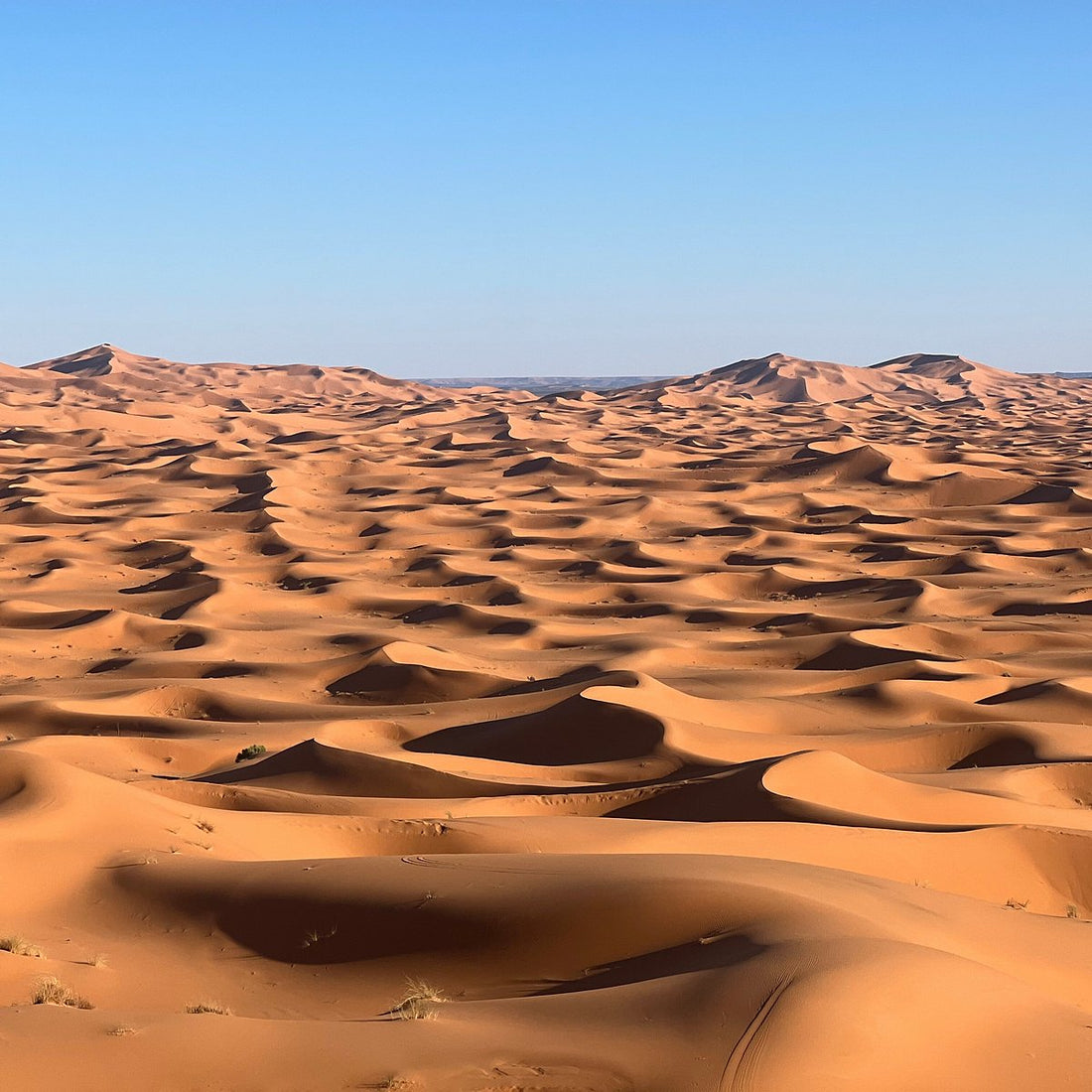 Discover the Beauty of Morocco Desert Merzouga