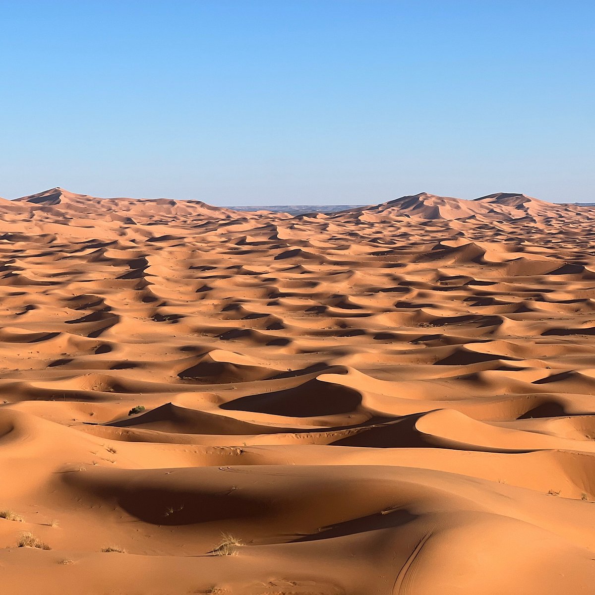 Discover the Beauty of Morocco Desert Merzouga