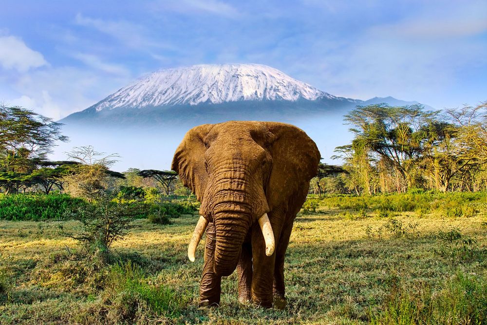 Best Places to Visit in Africa 