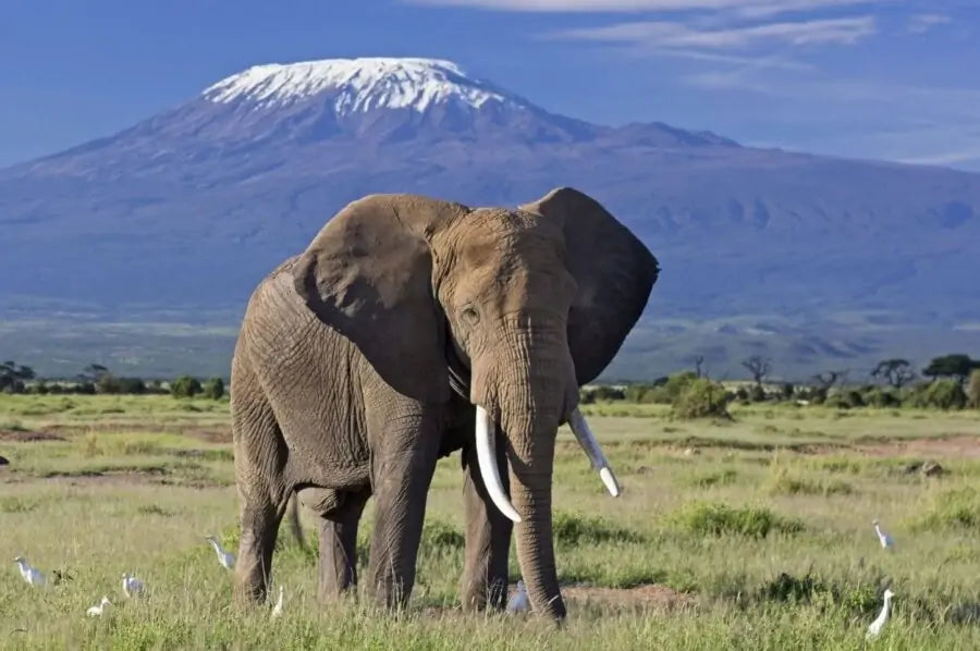 Best destinations to visit in Africa