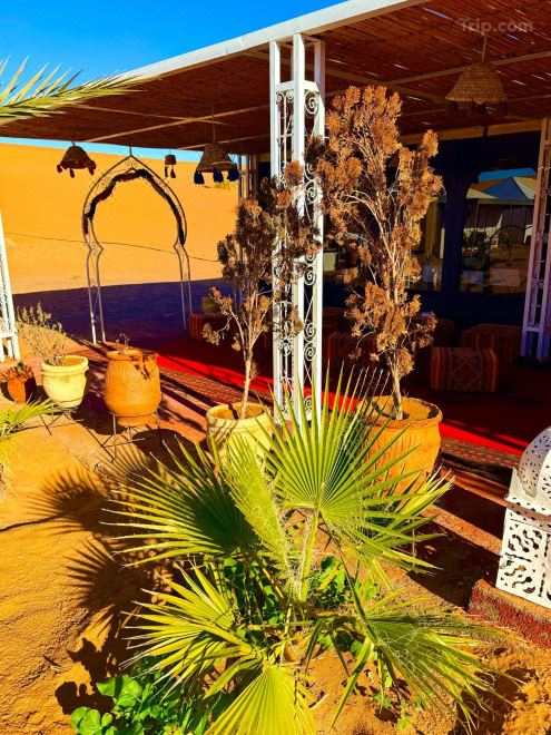 Aladdin Merzouga Camp A Memorable Desert Stay in the Sahara
