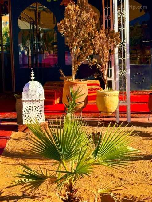 Aladdin Merzouga Camp A Memorable Desert Stay in the Sahara