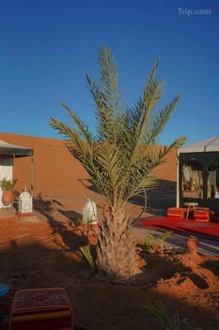 Aladdin Merzouga Camp A Memorable Desert Stay in the Sahara