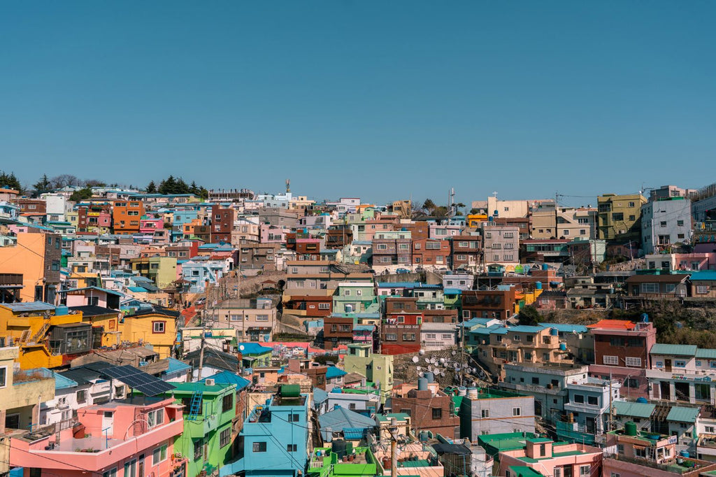 Discover the best of Busan on an one-day city tour