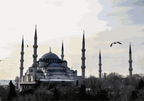 From Istanbul: Full-Day Princes’ Island Tour with Lunch