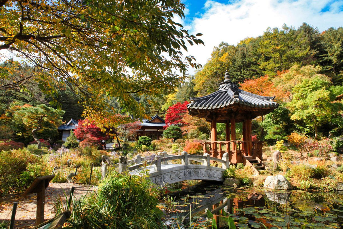 Nami Island  The Garden of Morning Calm One-Day Tour