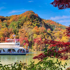 Korea Nami Island Alpaca World Gangchon Rail Bike Day Tour
