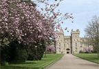 From London Half-Day Trip to Windsor with Castle Ticket