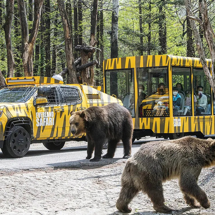 Seoul Everland 50th Anniversary Experience