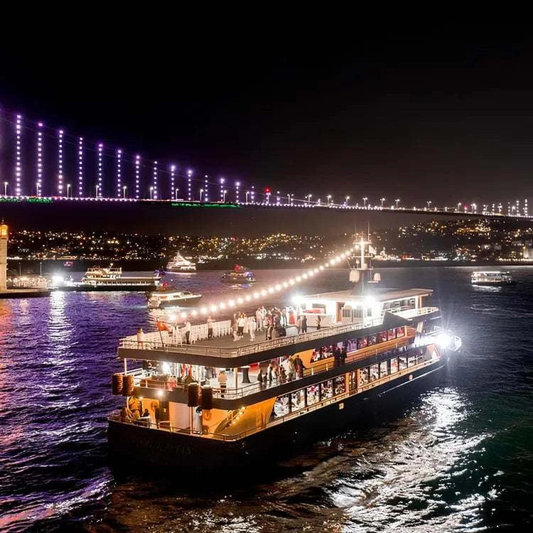 Istanbul Bosphorus Dinner Cruise with Hotel Pickup and Show