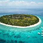 Bohol Island Dolphin Watching Island Snorkeling