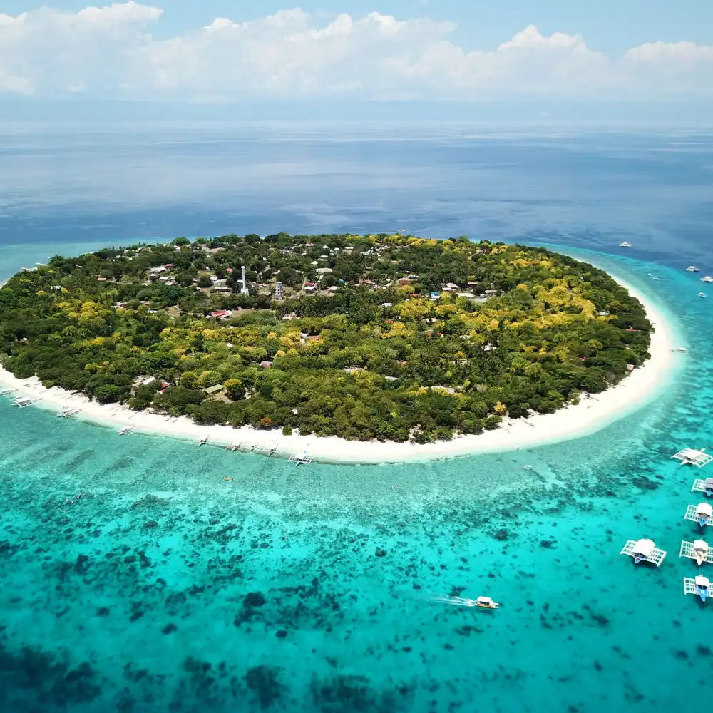 Bohol Island Dolphin Watching Island Snorkeling