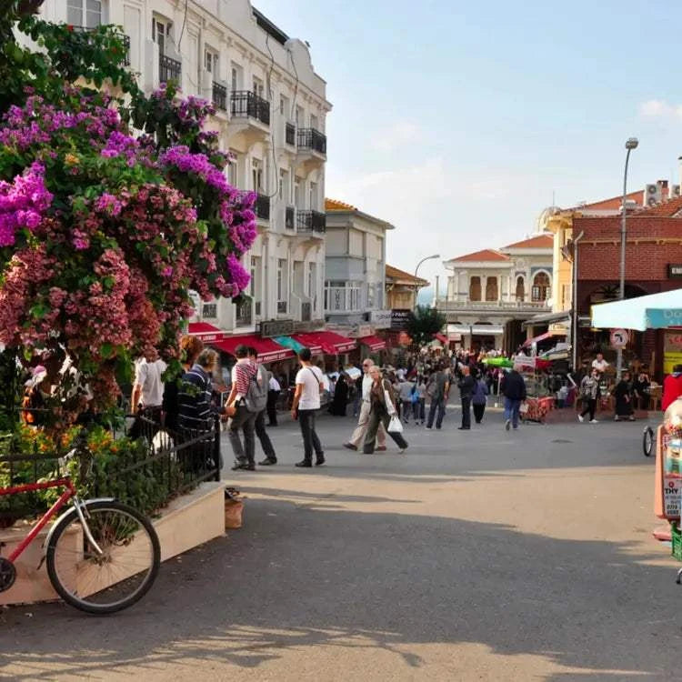 Istanbul Princes' Islands Day Tour with Hotel Pickup and Lunch