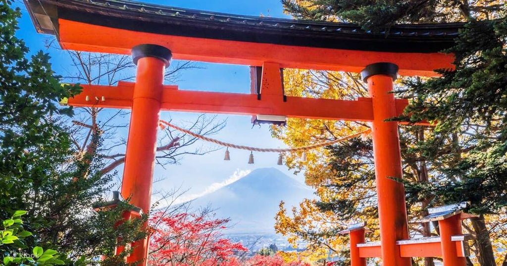 Solo-Friendly 1-Day Mount Fuji Tour from Tokyo