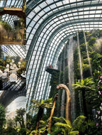 Singapore Private Chartered Tour Art Museum Tree Tunnel,