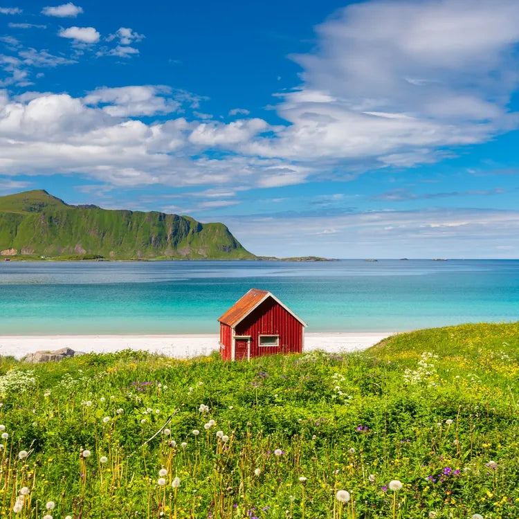 1 day tour to Lofoten Island the yellow house