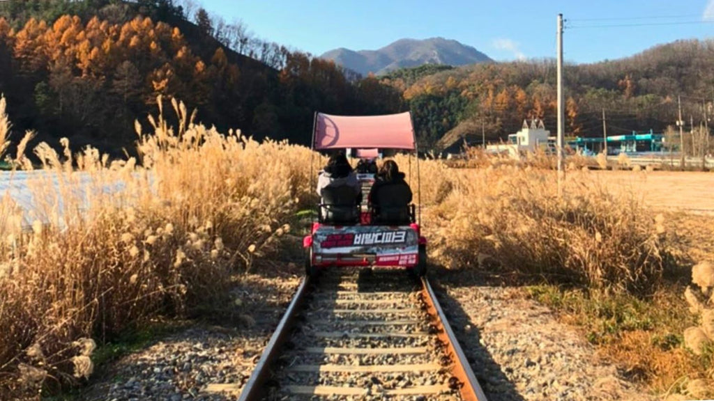 Korea Nami Island Alpaca World Gangchon Rail Bike Day Tour