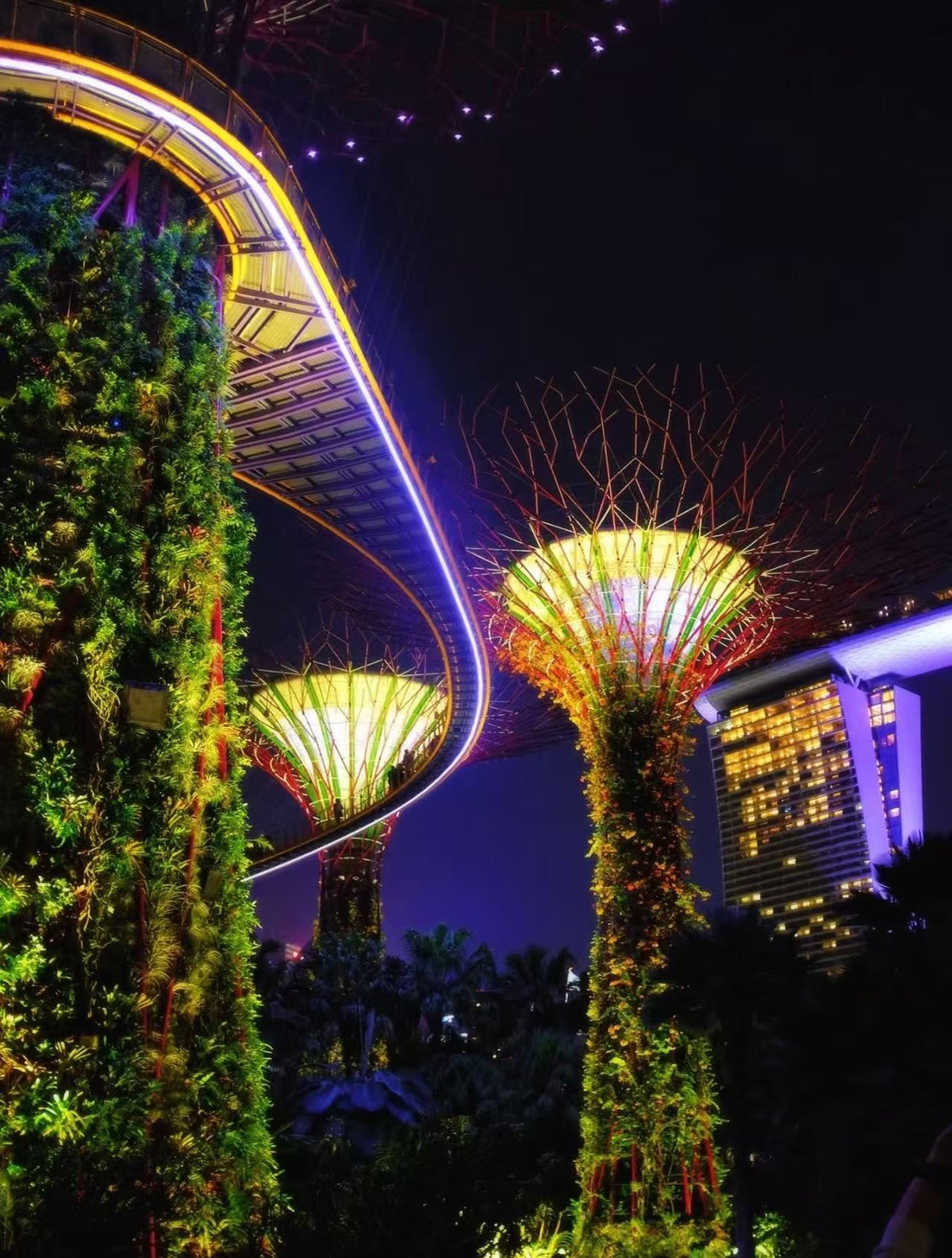 Singapore Private Chartered Tour Art Museum Tree Tunnel,