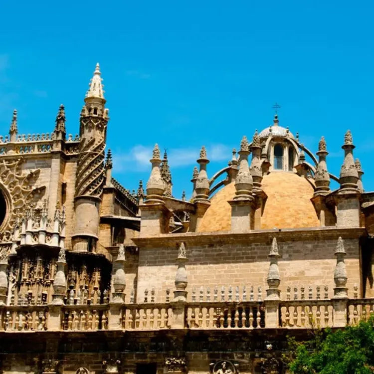 Seville Day Trip from Costa del Sol & Real Alcázar