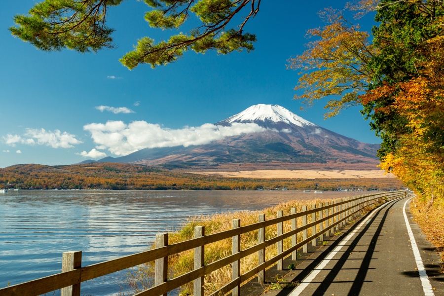 Solo-Friendly 1-Day Mount Fuji Tour from Tokyo