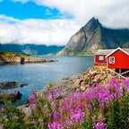 1 day tour to Lofoten Island the yellow house