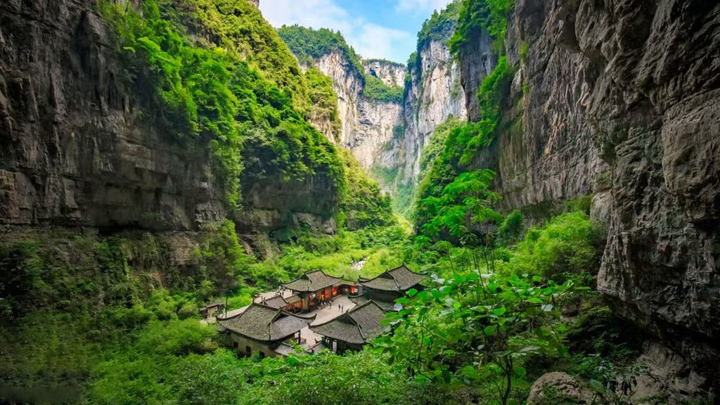 Gorge Wujiang River Day Trip Boat Tour for Up to 8 People
