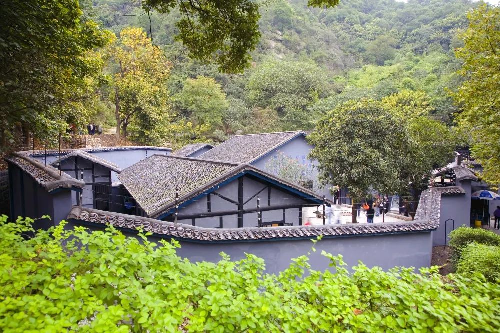 Chongqing 1-Day Tour Yangtze River Cableway Light Rail