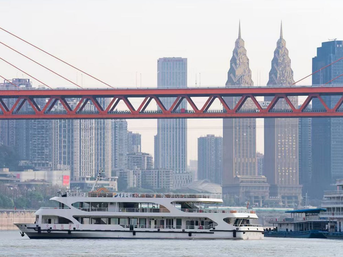 Chongqing 1-Day Tour Yangtze River Cableway Light Rail