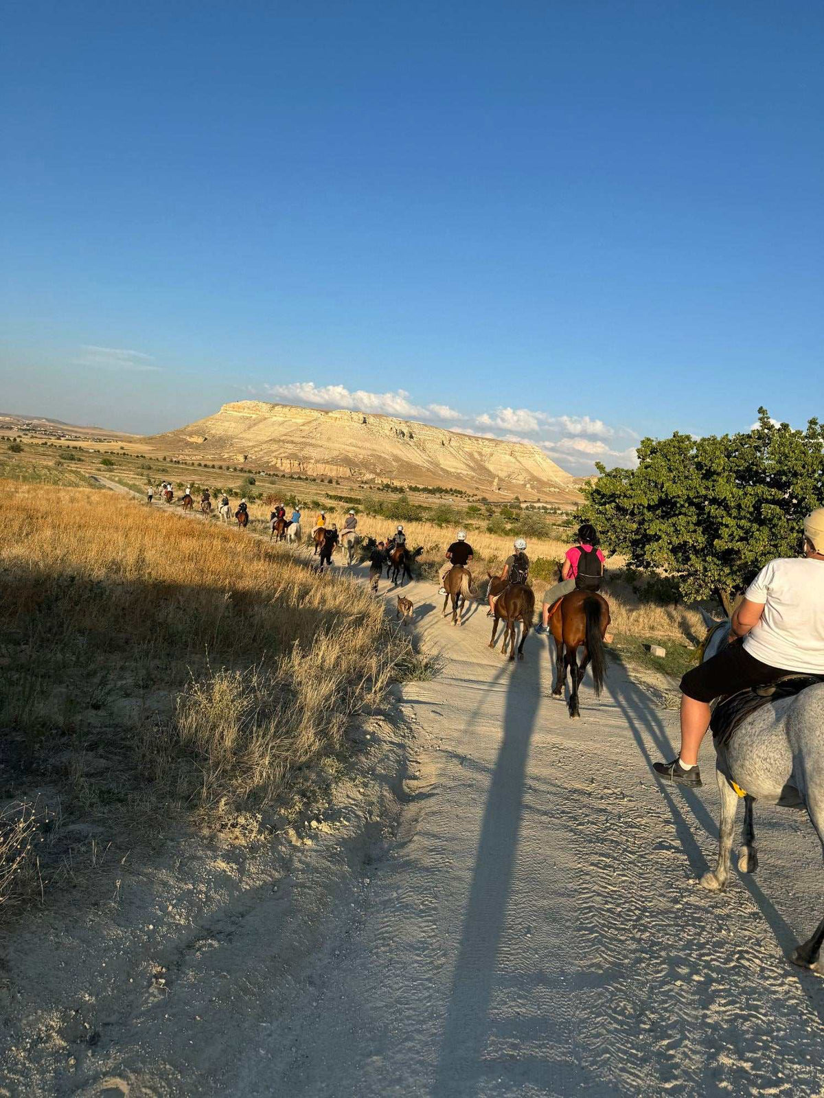 Cappadocia Sunset Horse Riding