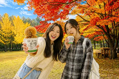 Discover the beauty of South Korea with a Nami Island