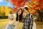 Nami Island  The Garden of Morning Calm One-Day Tour