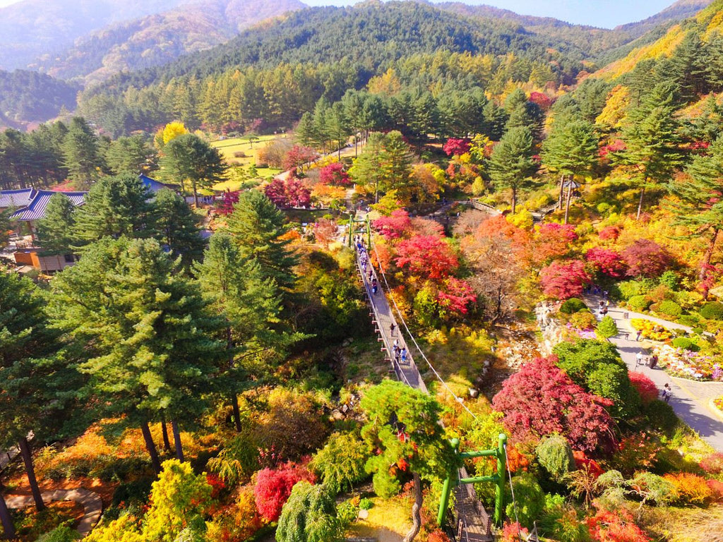 Nami Island  The Garden of Morning Calm One-Day Tour