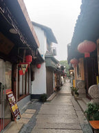 Half-Day Tour to Zhujiajiao Ancient Town Explore the Millennial Water Town