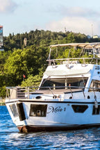 From Istanbul: Full-Day Princes’ Island Tour with Lunch
