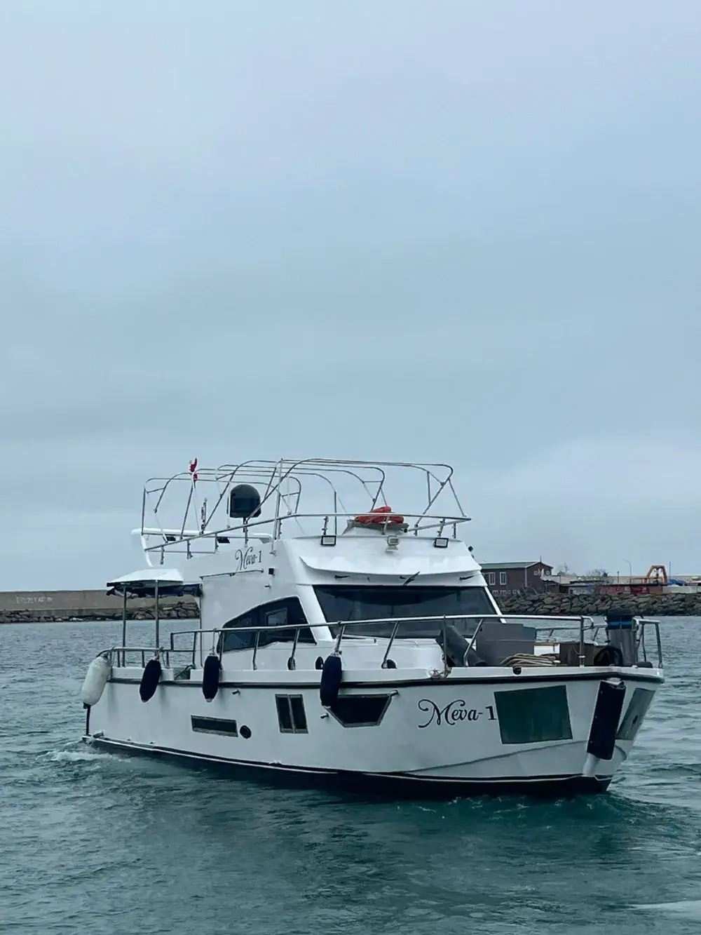 From Istanbul: Full-Day Princes’ Island Tour with Lunch