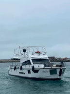 From Istanbul: Full-Day Princes’ Island Tour with Lunch