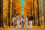 Discover the beauty of South Korea with a Nami Island