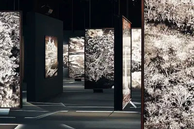 Singapore Private Chartered Tour Art Museum Tree Tunnel,