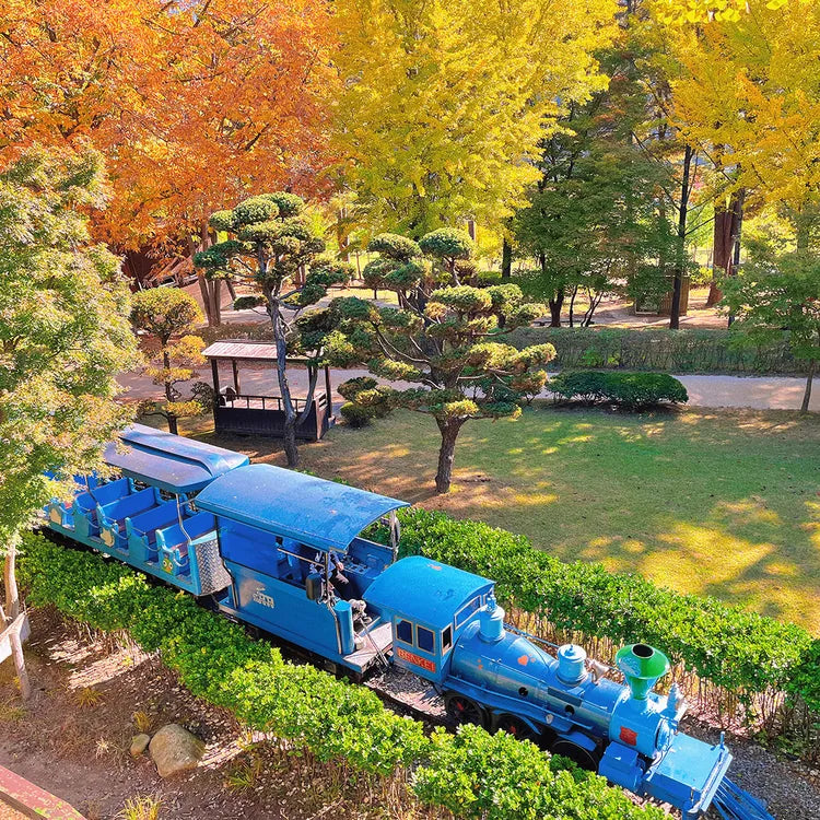 1Day Tour to Nami Island Petite France & Italia Village