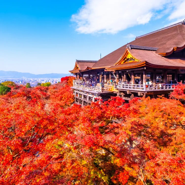 Kyoto and Nara One-Day Tour Kiyomizu-dera