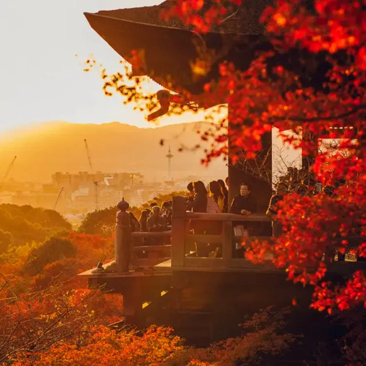 Kyoto and Nara One-Day Tour Kiyomizu-dera