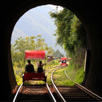 Korea Nami Island Alpaca World Gangchon Rail Bike Day Tour