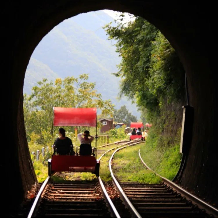 Korea Nami Island Alpaca World Gangchon Rail Bike Day Tour