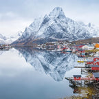 1 day tour to Lofoten Island the yellow house