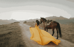 Cappadocia Sunset Horse Riding