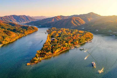 Korea Nami Island Alpaca World Gangchon Rail Bike Day Tour